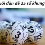 Cách nuôi dàn đề 25 số khung 3 ngày