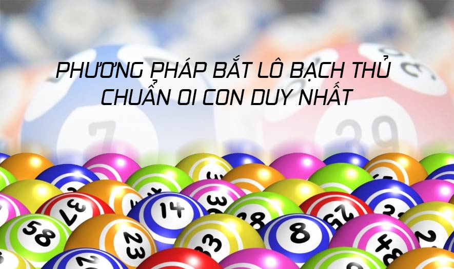 Phương pháp bắt lô bạch thủ chuẩn 1 con duy nhất